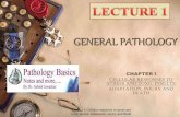 Cellular adaptations, injury and death.. Lecture 1