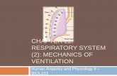 Chapter 22: Respiratory System (#2)