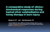 A comparative study of clinico-biochemical responses during topical silver sulphadiazine and honey therapy in burn injury.
