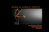 Knee & Ankle Joints