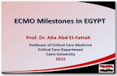 Critical Care Summit 2015 -ECMO Milestones in Egypt