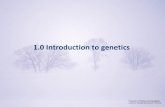 Ch1 introduction to genetics