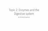 AQA Unit 1: Enzymes and the Digestive System