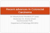 Recent advances in colorectal carcinoma