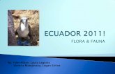 Ecuador powerpoint