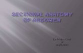 Sectional anatomy of abdomen