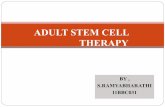 Adult stem cell therapy