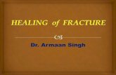 Healing  of  fracture