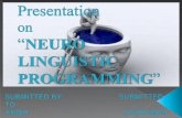 Neuro linguistic programming (anish)