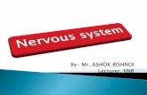 PPT on Nervous System