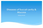 Diseases of buccal cavity & mucosa