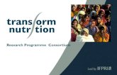 Introduction to Transform Nutrition Research Programme Consortium