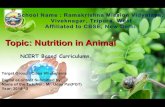 Nutrition in animals class vii