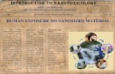 Human Exposure to Nanosized Materials