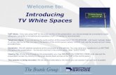 Introducing TV White Spaces