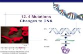 12.4  mutations