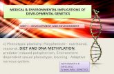 DNA methylation and Diet