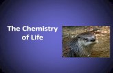 2. chemical foundation of life, bio 101 fall 2014