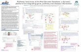 Pathway resources at the Rat Genome Database