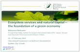 Ecosystem services and natural capital – the foundation of a green economy