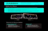 Zabbix Enterprise Network Monitor