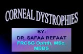 Corneal dystrophies by Dr. Safaa Refaat