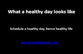 Healthy day, healthy life schedule