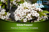 Beautiful white flowers nature power point templates themes and backgrounds ppt themes