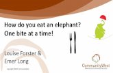 How to eat an elephant one bite at a time - presentation ACSWA 2015 conference Louise Forster