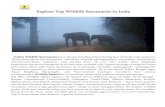 Top 4 Wildlife Sanctuaries in India