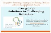 Class 3: Integrative Parenting for Attachment Trauma
