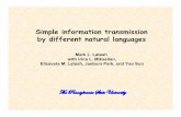 Simple information transmission by different natural languages