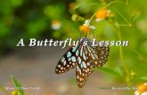 A butterfly's lesson(rev)
