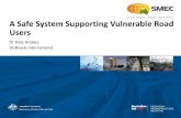 Ws3 safe system supporting vru (english version)