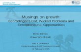 Musings on Growth. Dimo Dimov.ERC Understanding Small Business Growth Conference 2015