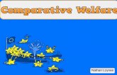 Comparative welfare