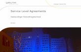 Gastcollege hanzehogeschool   service level agreements