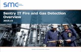 Sentry IT Fire & Gas Detection Overview