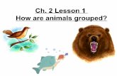 3rdgrade ch-2lesson1howareanimalsgrouped-110907181124-phpapp01