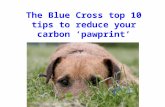 The Blue Cross Top 10 Tips To Reduce