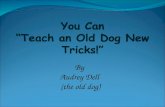 You  Can  Teach And  Old  Dog  New  Tricks 2 Final Project