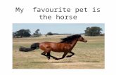 My Favourite Pet is... 4