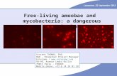 Mycobacteria and free-living amoebae