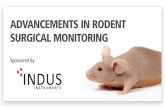 Advancements in Rodent Surgical Monitoring