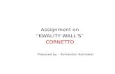 Kwality Walls CORNETTO