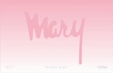 Mary Kay Campaign Book