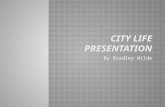 City life presentation