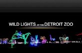 Wild Lights at the Detroit Zoo