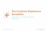 Winning the customer experience revolution
