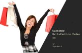 Customer Satisfaction Index (CSI)